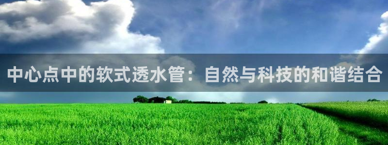 威九国际APP那个地方