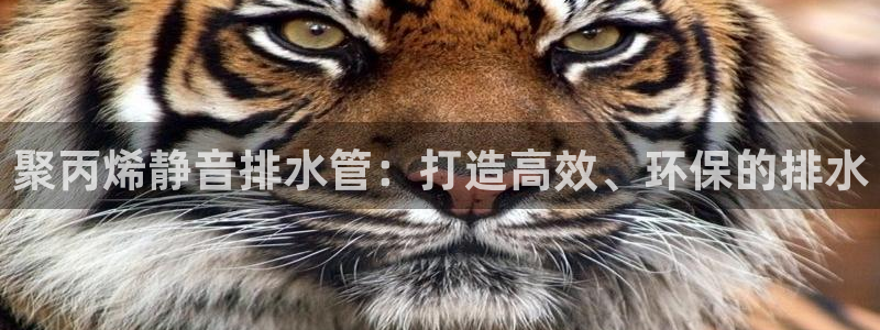 威九国际66在线