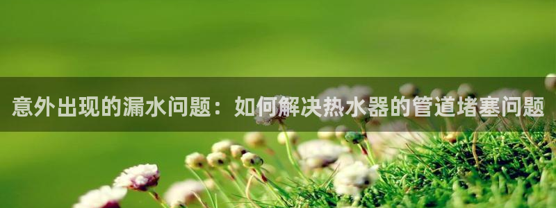 威九国际78ma
