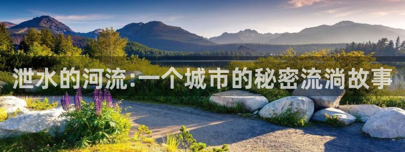 威九国际APP那个地方