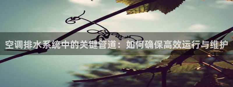 78mapp威九国际网
