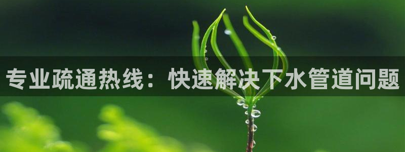 威九国际入口一