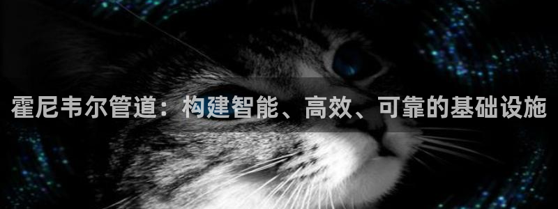 威九code6070