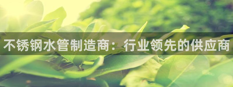 威九国际动漫