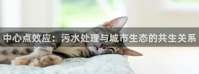 威九国际小广告
