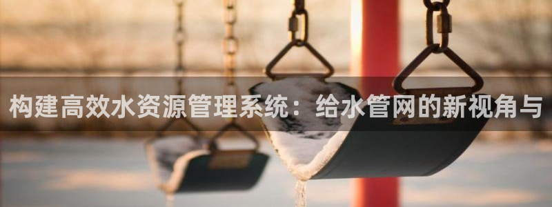 威九国际抡里