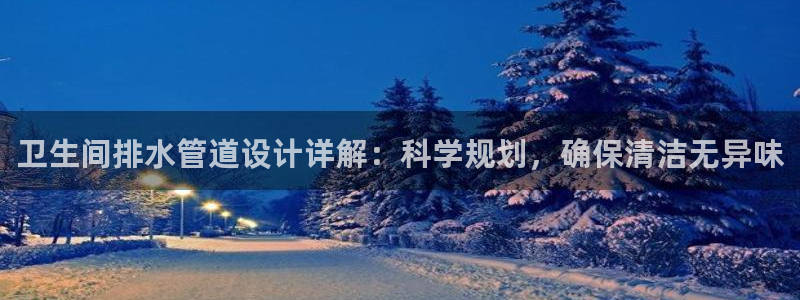 威九国际78
