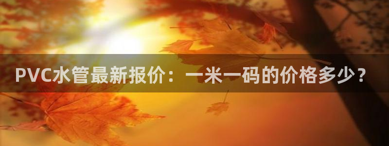威九国际APP大全
