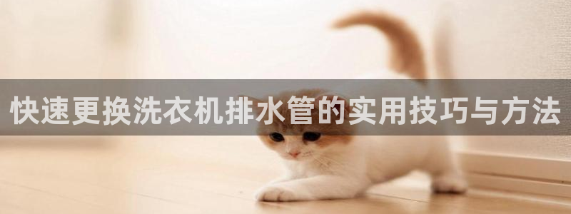 78mapp威九国际一