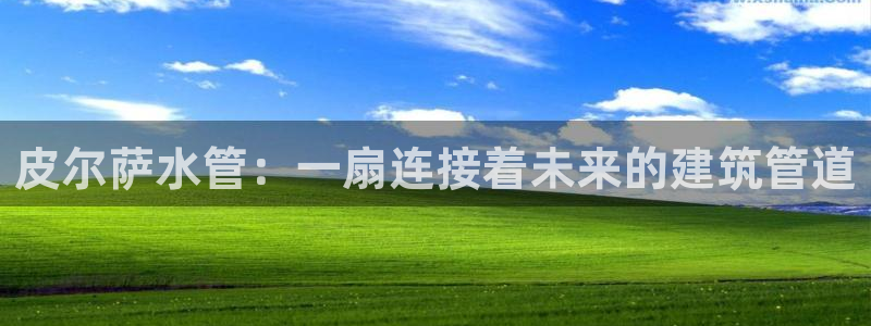 威九国际可以退钱吗怎么退的