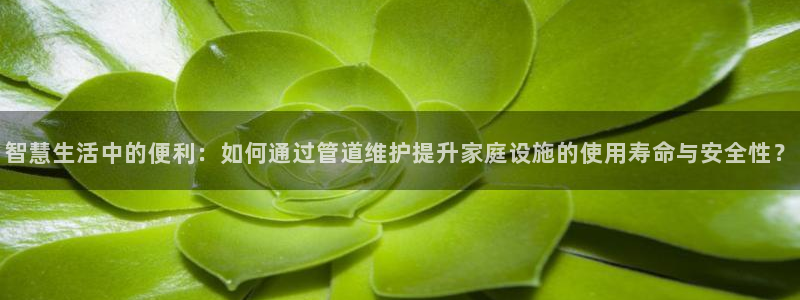 威九cp