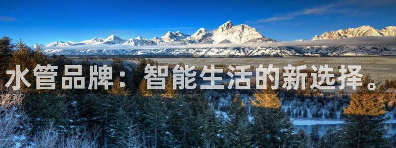威九国际网站为什么不禁止