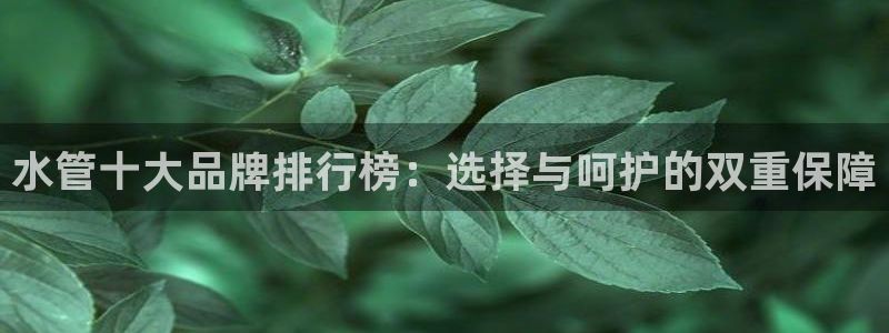 威九国际小广告