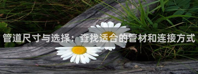 威九国际app无法登陆怎么回事