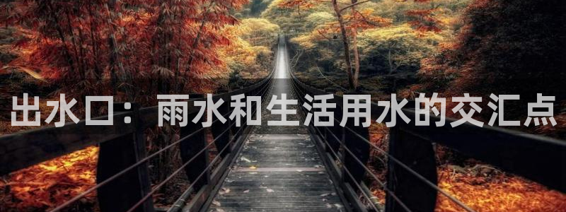 威九国际取款不到账
