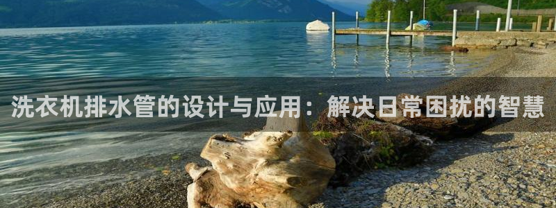 威九国际精