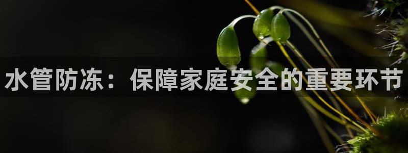 威九code6070