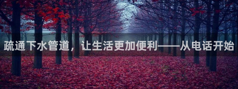 威九国际app网站官网