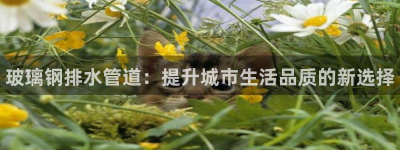 威九国际66m66成长模式