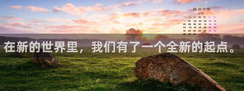 威九国际APP大全