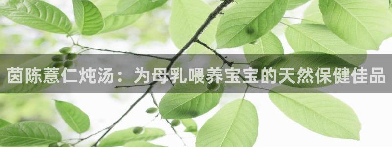 威九国际网站入口官网游戏推荐