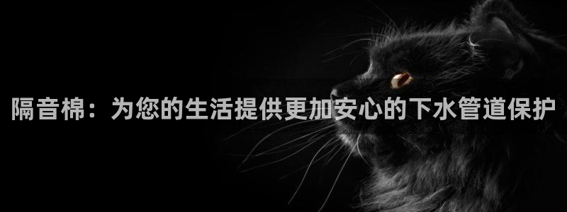 威九国际网站经常打不开怎么办