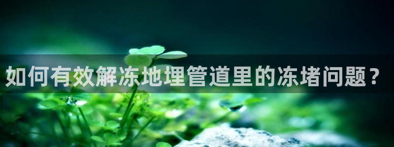 威九国际理论片最经典十首歌曲