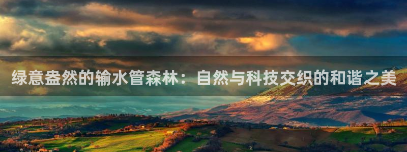 78mapp威九国际媒体