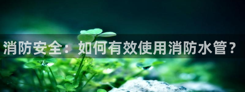 威九国际黑钱