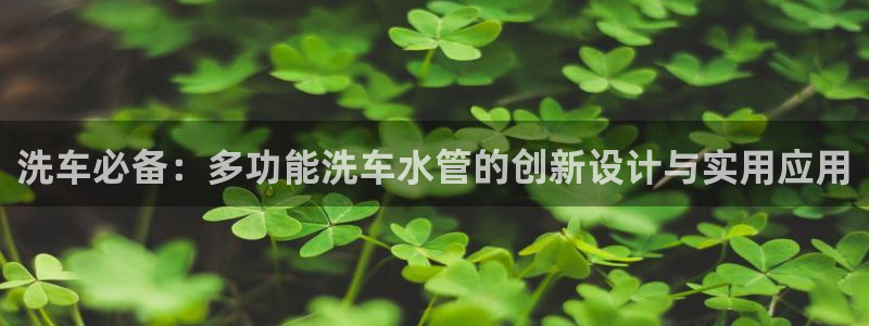 威九国际入口一