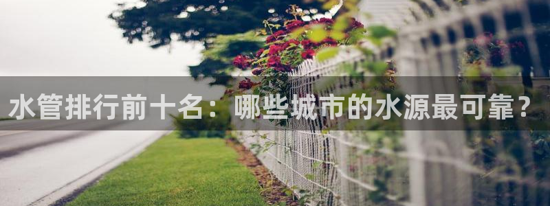 威九国际网站安全吗
