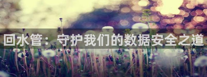 威九国际78m