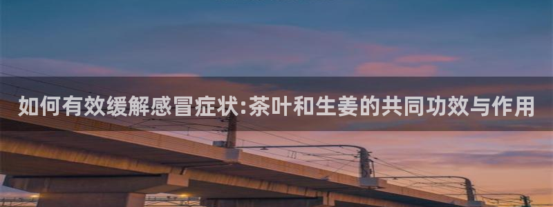 威九国际MM