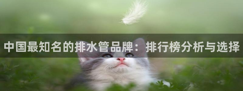 66m威九国际成长模式