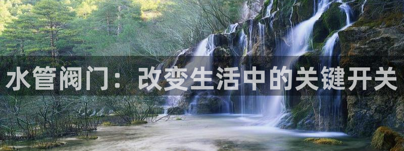 威九国际人民网