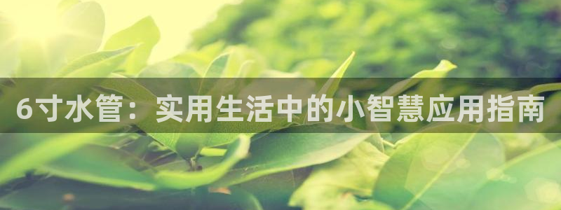 威九国际游戏入口