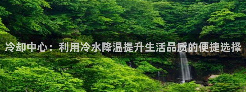 威九国际ft