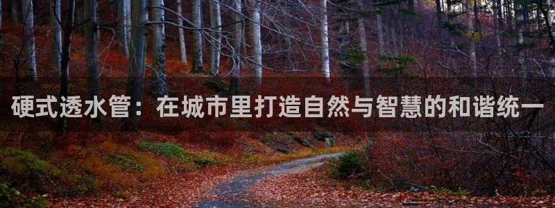 威九国际黄威尼斯