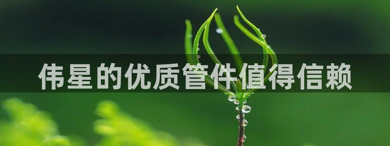 威九国际电视怎么样