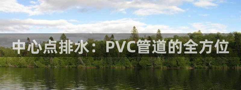 威九国际观看