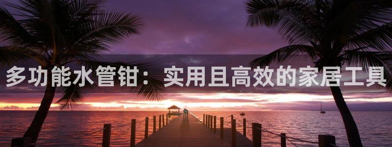 威九国际女儿的朋友