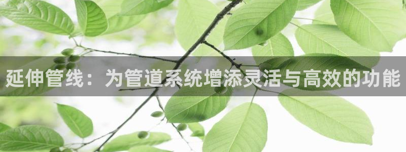 威九国际PPT