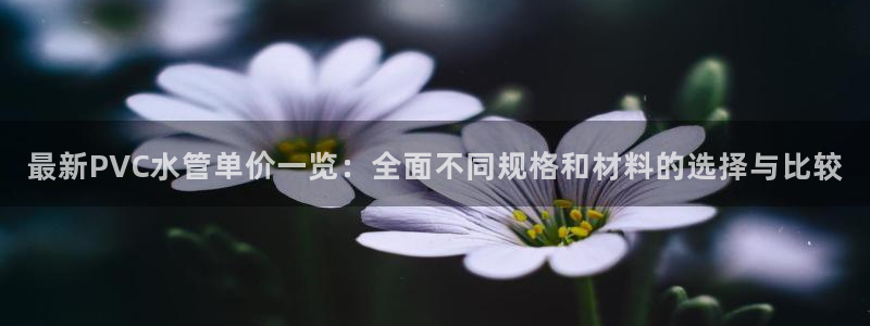 威九国际可以退钱吗怎么退的
