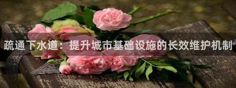 威九国际网站入口&rdpuo