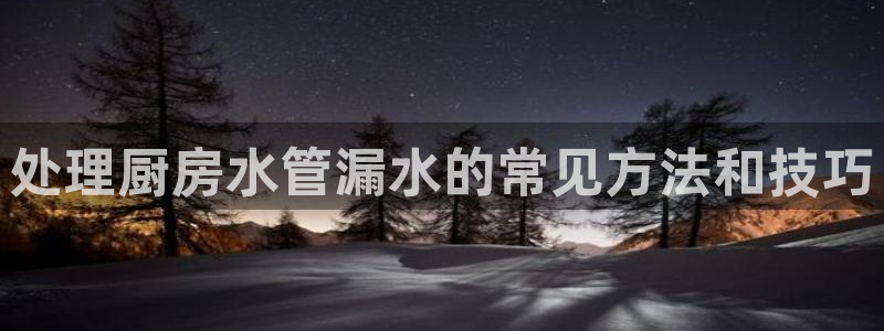 威九国际的金融服务