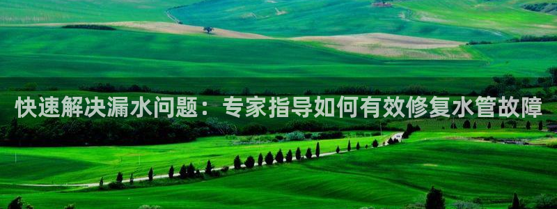 威九国际app客服电话多少