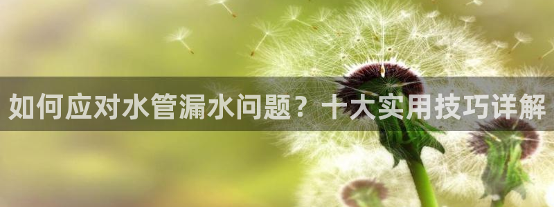 威九国际官网版