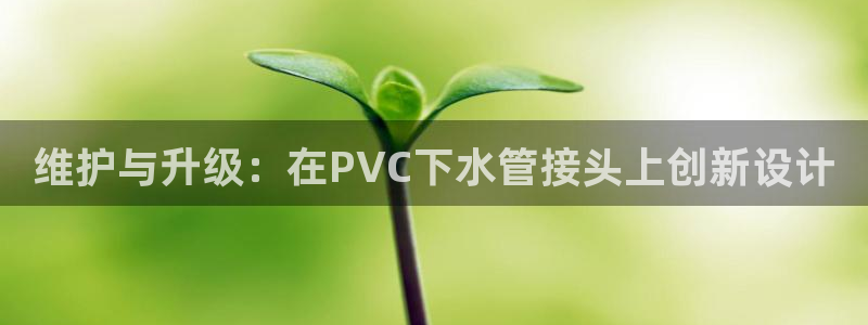 威九国际国精彩片段