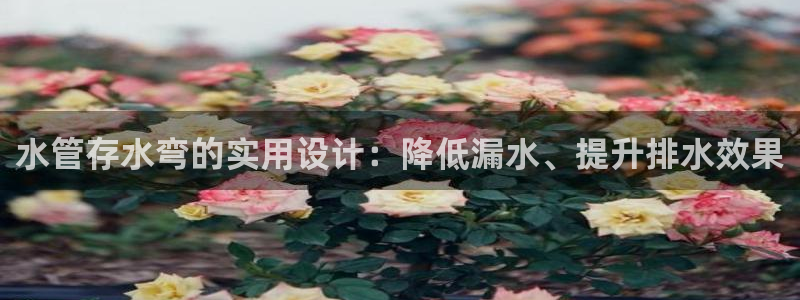 威九国际EVA