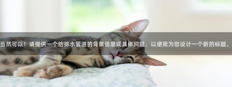 威九国际网站入口&rdpuo